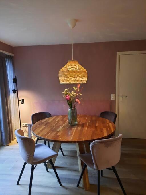 4-6 Persoons Vakantiewoning Met Eigen Tuin Villa Bakkeveen Exterior photo